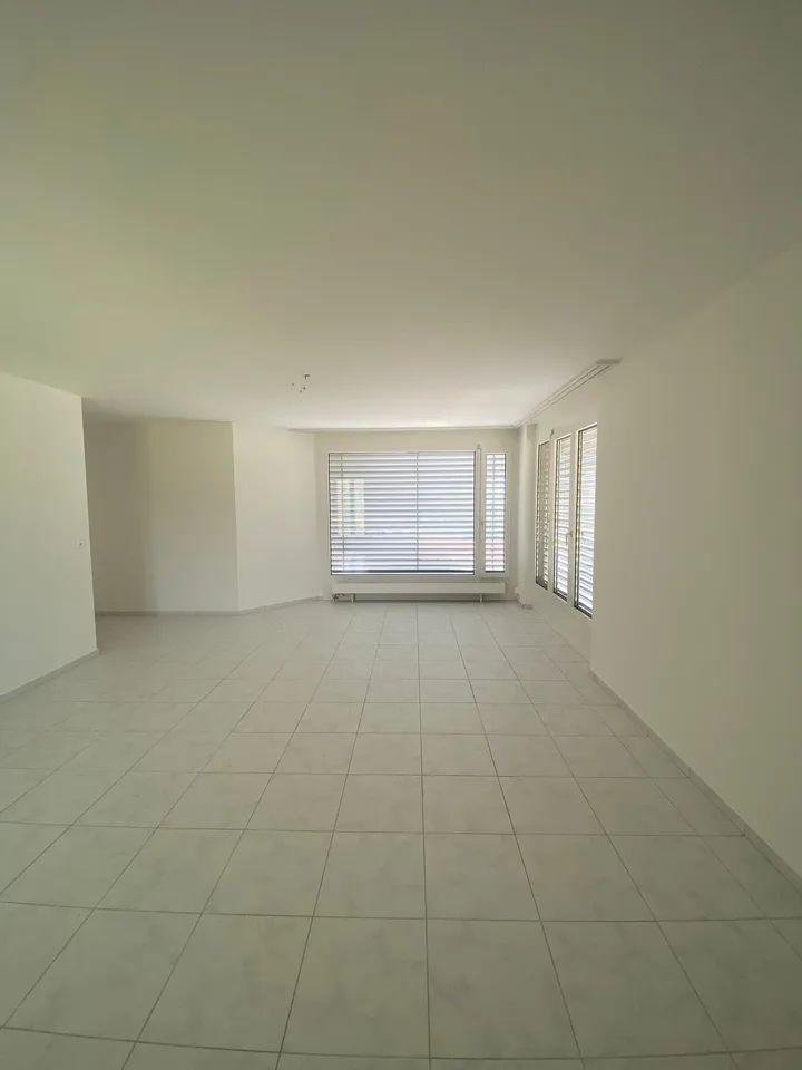 Bright 1-room attic apartment with beautiful views in Olten – photo 9 of 15
