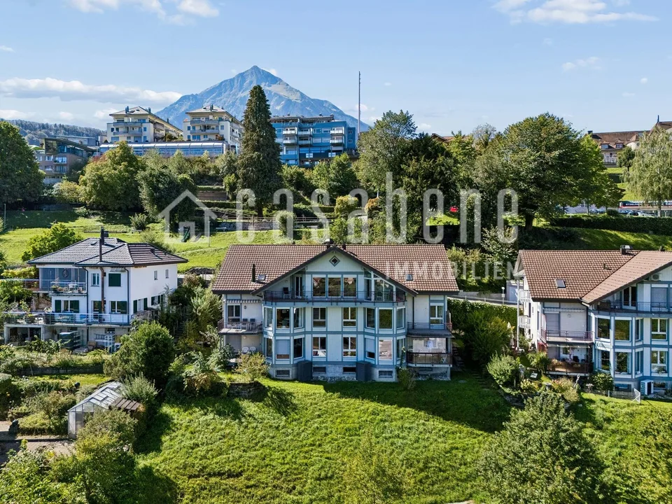 Vista mozzafiato e priva di ostacoli sulla baia di Spiez, le montagne e il lago! – foto 7 di 9