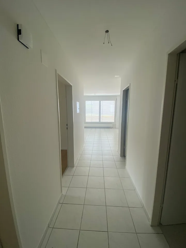 Bright 3.5-room apartment with terrace in Olten – photo 2 of 15