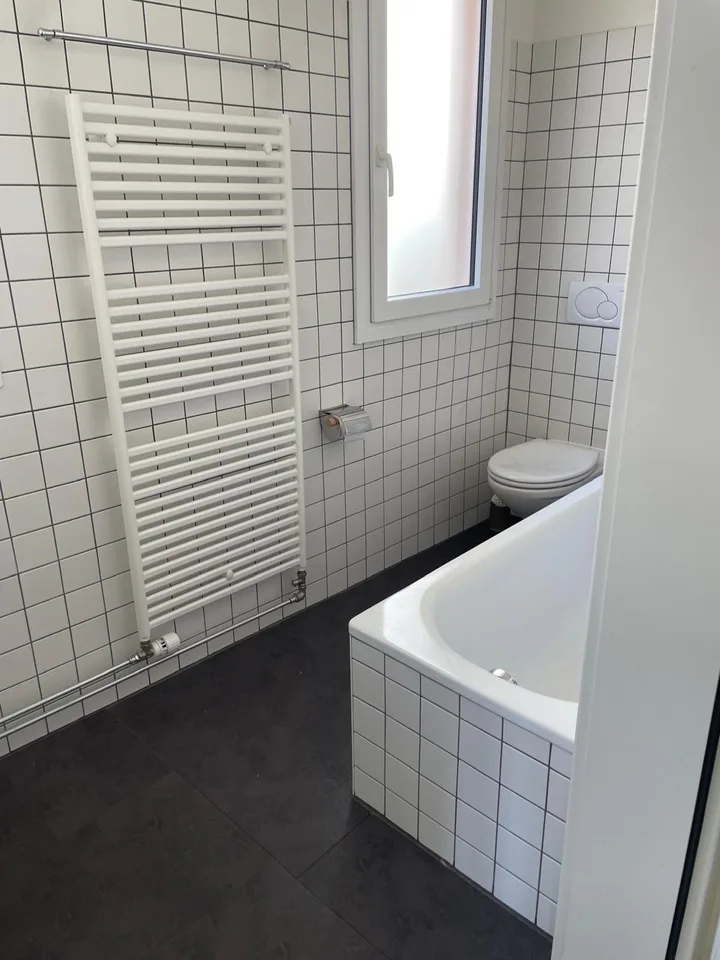 Curio – Ampio e luminoso 3.5 locali con grande terrazza (residenza secondaria possibile) – foto 8 di 11