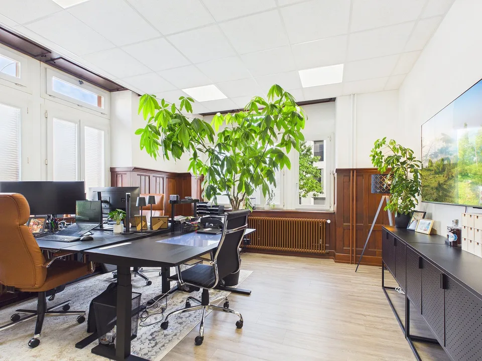 Representative office space with 5 parking spaces in Rheinfelden – photo 9 of 10