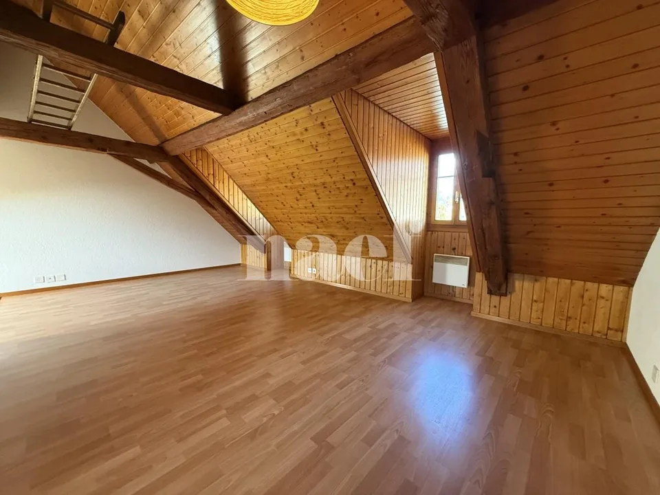 In affitto: Monolocale arredato a Bulle – foto 4 di 4