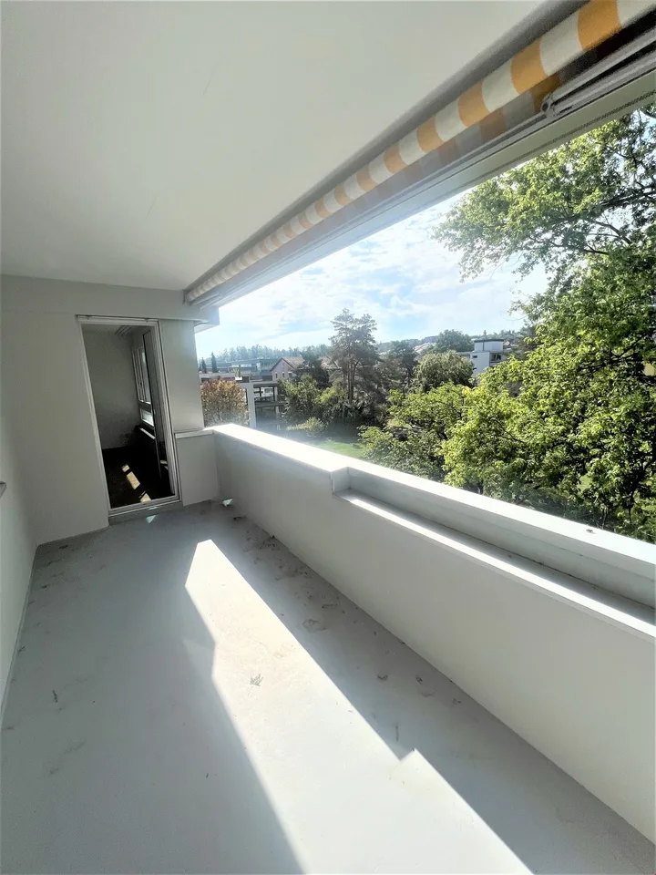 Helle 4.5-Zimmer-Wohnung mit Balkon und schöner Aussicht in Allschwil – Foto 2 von 14