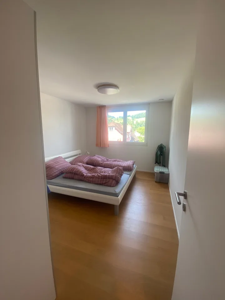 Moderne 4.5-Zimmer-Wohnung mit Balkon in Oberriet SG – Foto 9 von 10