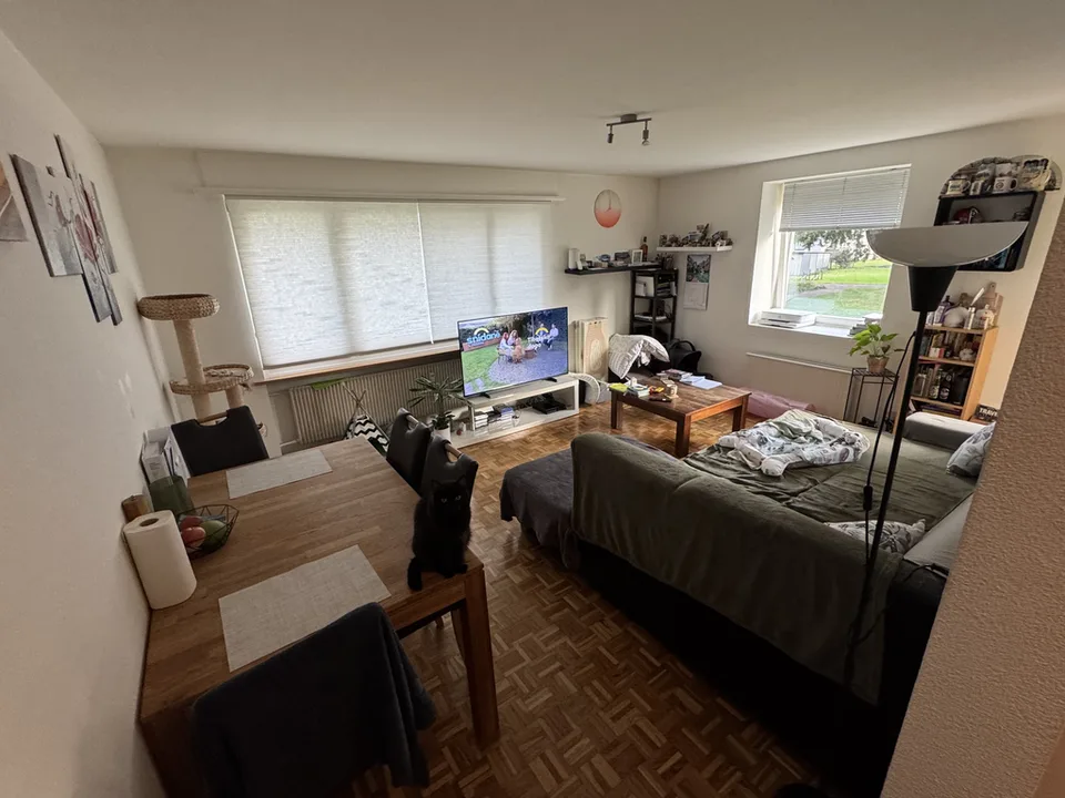 Petit mais charmant - appartement 2.5 pièces à Spiez – photo 4 sur 6