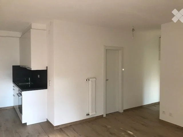 Appartement zur Miete in Paradiso – Foto 5 von 5