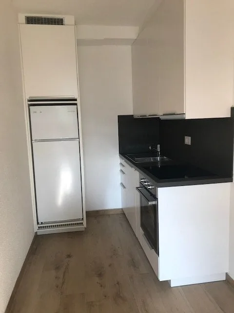 Appartement zur Miete in Paradiso – Foto 2 von 5