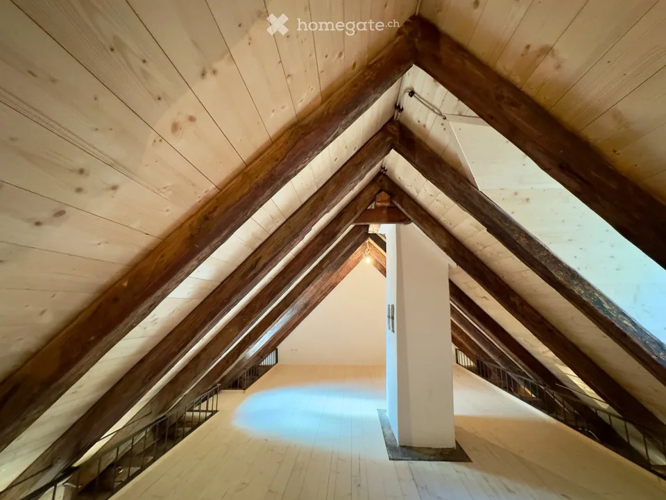Erstbezug Dachwohnung Loft mit Galerie – Foto 3 von 5