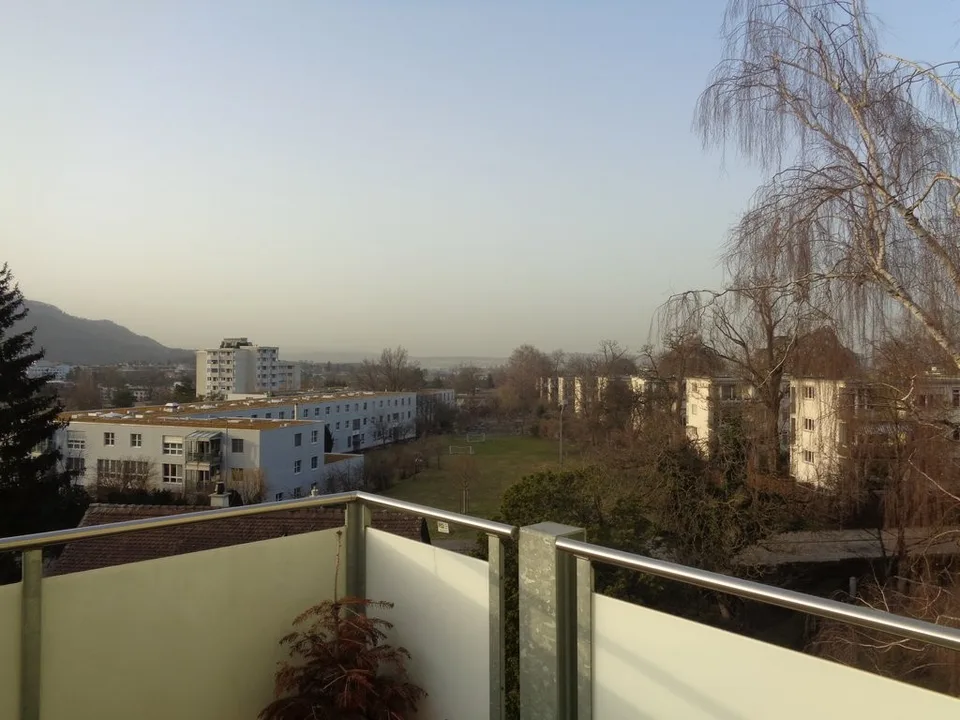 Grosszügige Wohnung mit Cheminée und Ausblick ins Grüne – Foto 12 von 12
