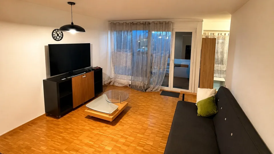 💎 Appartamento arredato di 2.5 locali con balcone e vista panoramica ad Adliswil – foto 3 di 16