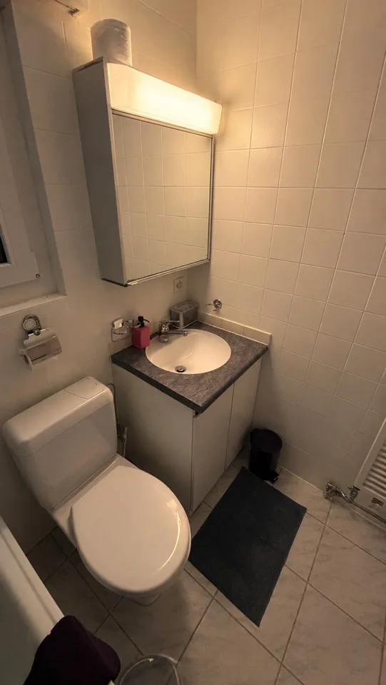 💎 Appartamento arredato di 2.5 locali con balcone e vista panoramica ad Adliswil – foto 12 di 16