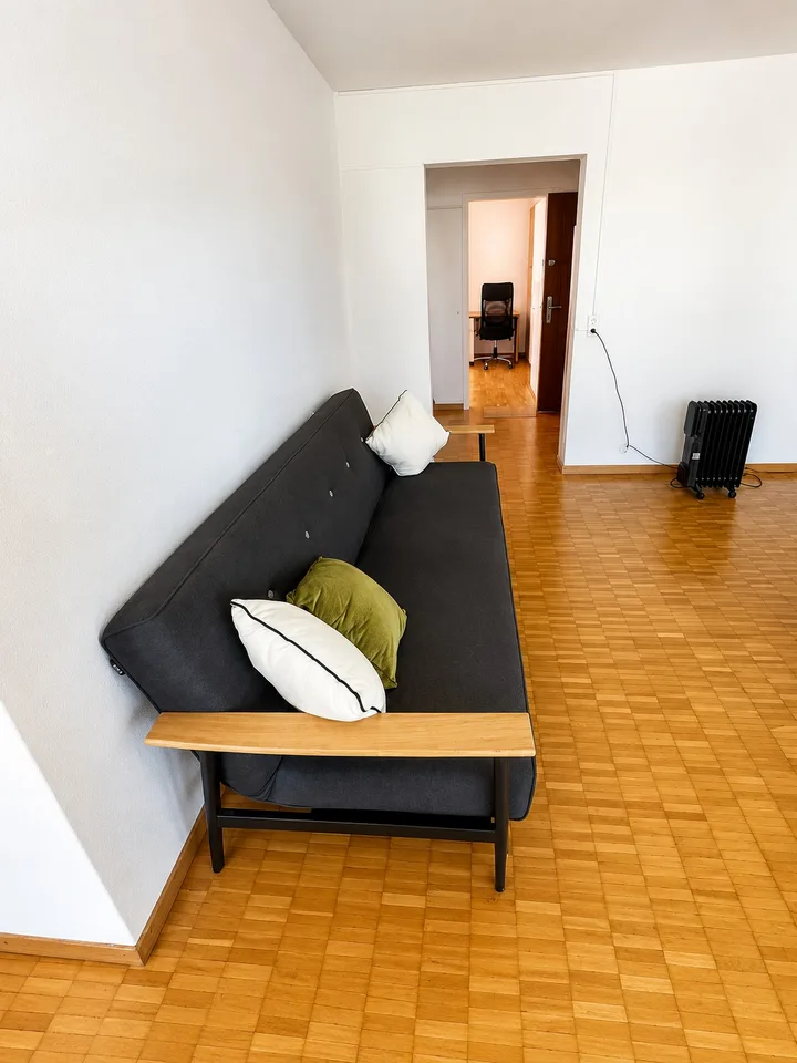 💎 Appartamento arredato di 2.5 locali con balcone e vista panoramica ad Adliswil – foto 5 di 16