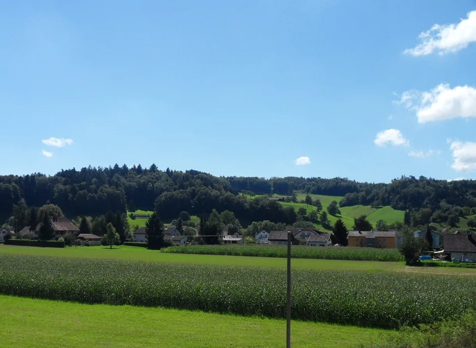Appartement mansardé charmant et accueillant avec une superbe vue et une terrasse donnant sur le verdure – photo 7 sur 8