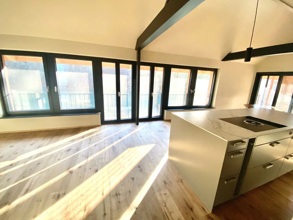Multi-generation house – photo 26 of 30