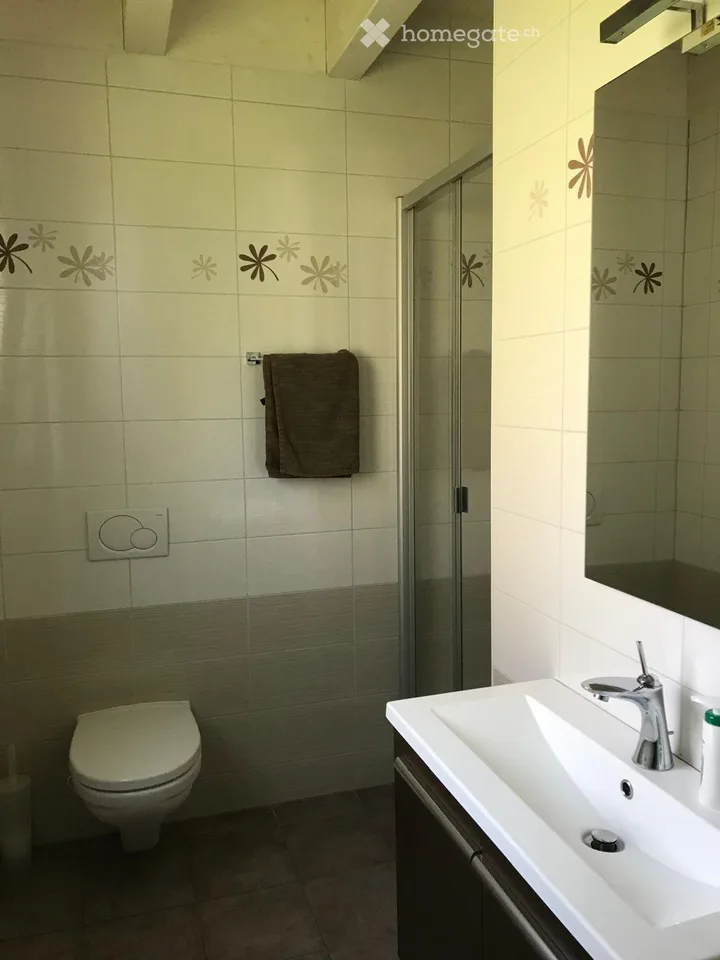 Schönes Einfamilienhaus mit 7 Zimmern – Foto 4 von 5
