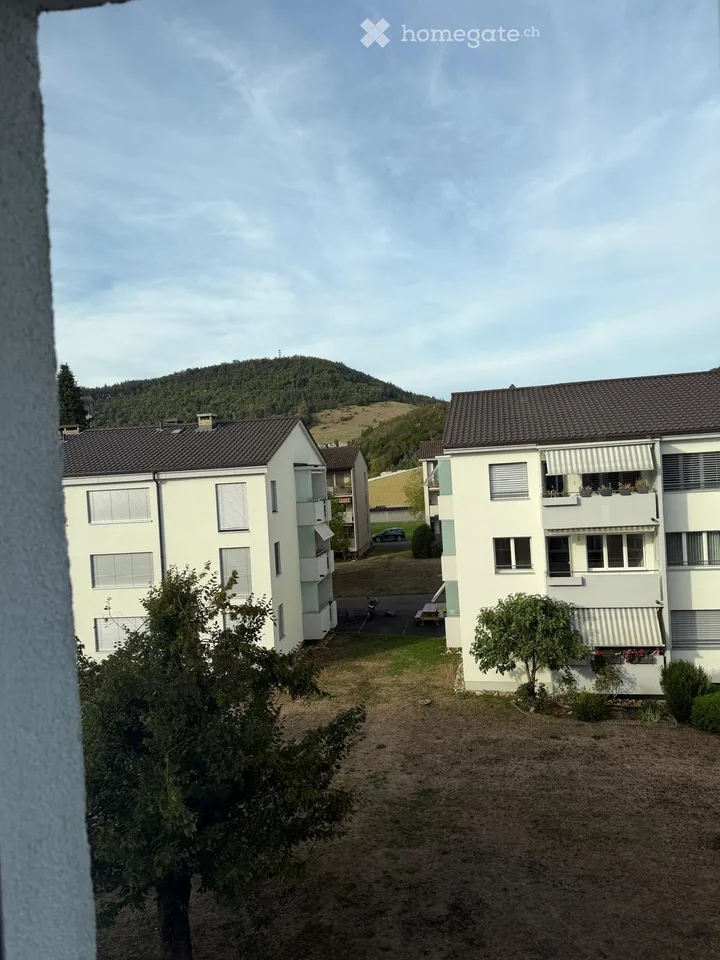 Wohnung in Liestal – Foto 24 von 29