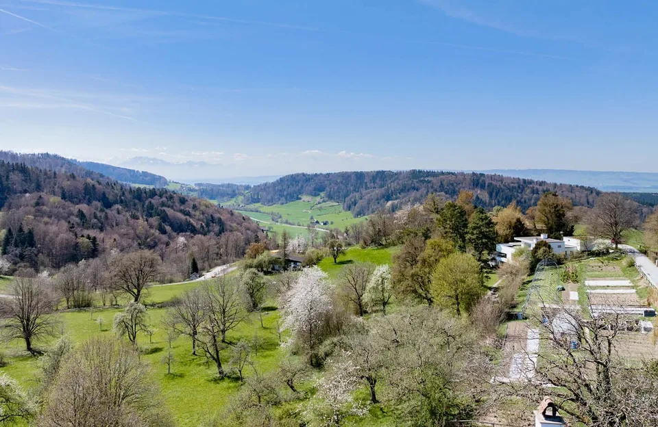 Einzigartiges Wohnensemble mit Weitblick und vielseitigem Nutzungspotenzial – Foto 6 von 6