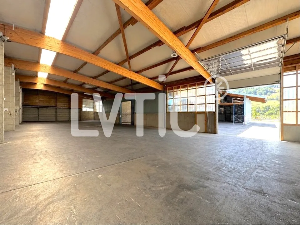 EXKLUSIVITÄT - 1500 m2 Industriehalle zur Miete in Moudon – Foto 3 von 7