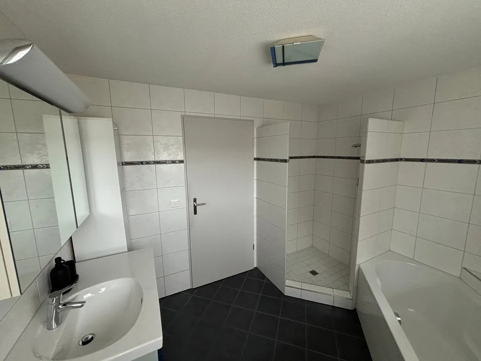 Casa unifamiliare unica più grande appartamento di 2,5 locali – foto 12 di 17
