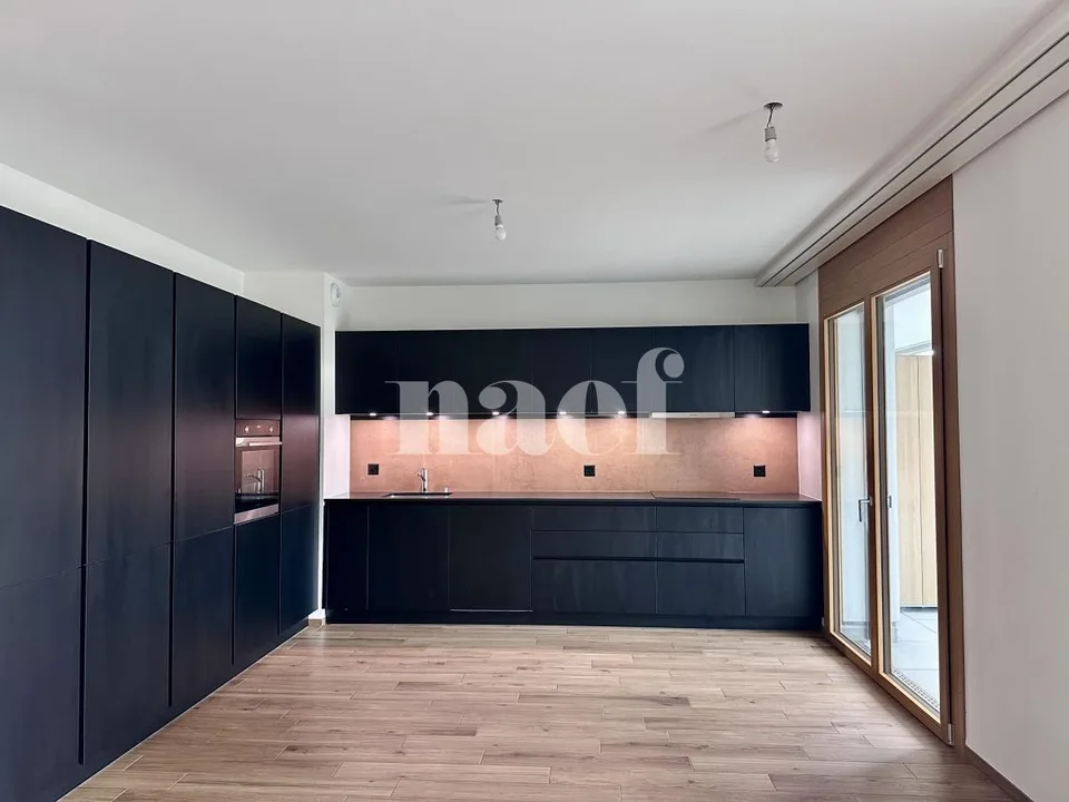 Bello appartamento con grande balcone - nel cuore di Satigny – foto 3 di 13