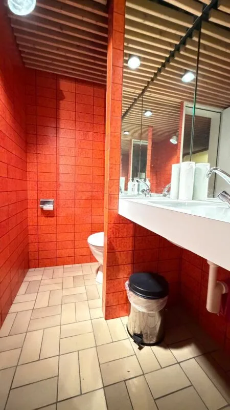 4,5 locali, terrazza, 2 bagni, box auto, sauna, fitness e sala party – foto 25 di 29