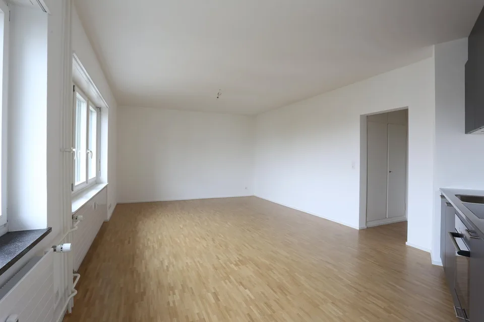 renovierte 1- Zimmerwohnung in Basel nähe Felix Platter Spital – Foto 5 von 8