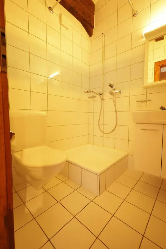 Geräumige 4-Zimmer-Wohnung im letzten Stock eines historischen Gebäudes – Foto 11 von 13