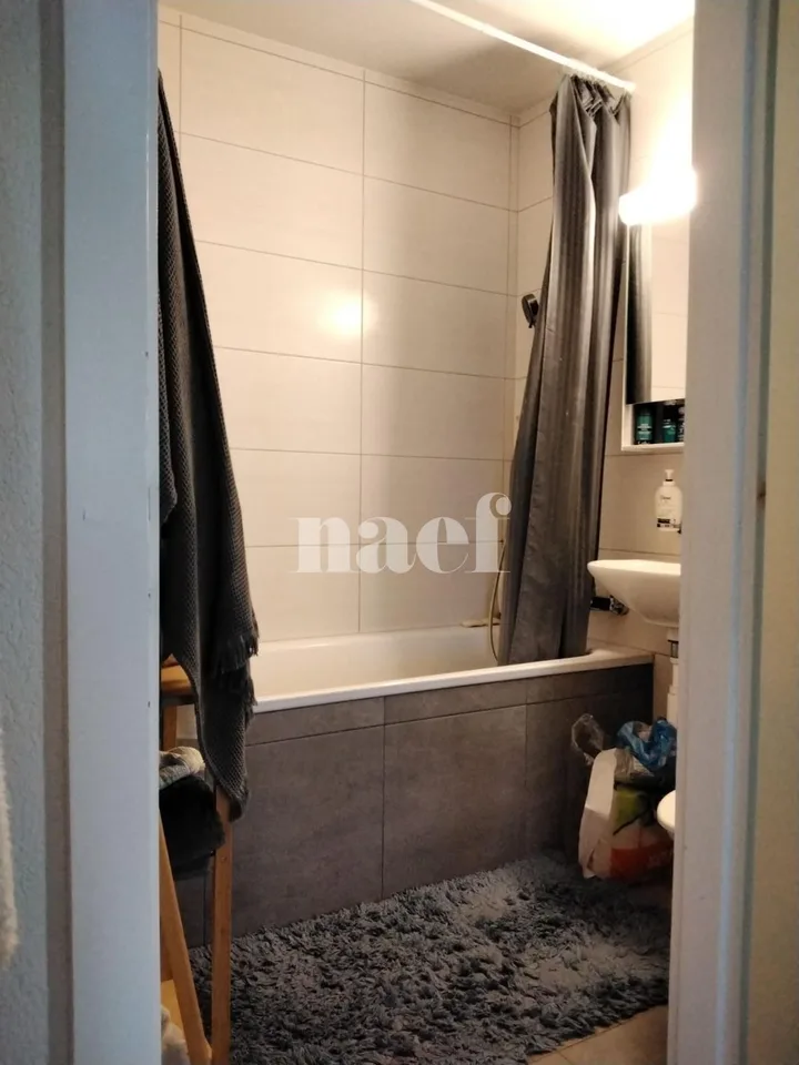 Appartamento luminoso situato in un quartiere verde – foto 2 di 2