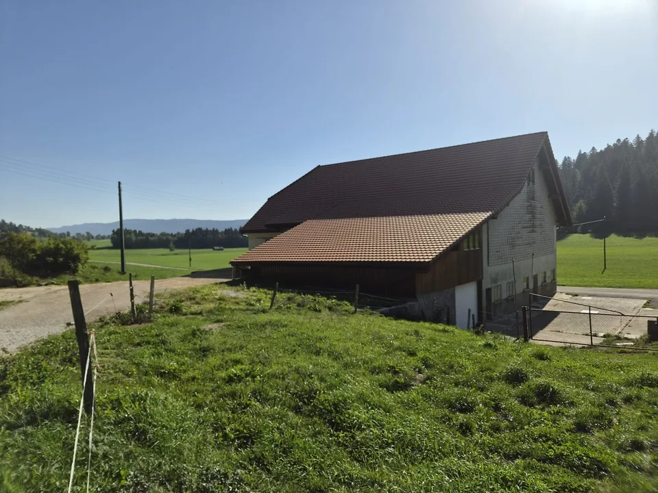 Reserviert! Bauernhof mit großzügigen Volumen – Foto 3 von 11