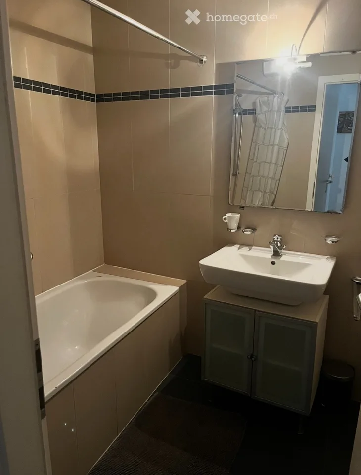 3 Zimmer zur Untervermietung für 3 Monate im Zentrum von Morges – Foto 3 von 4
