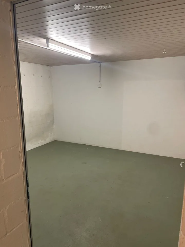 5.5 Zimmer Einfamilienhaus in Böbikon – Foto 19 von 25