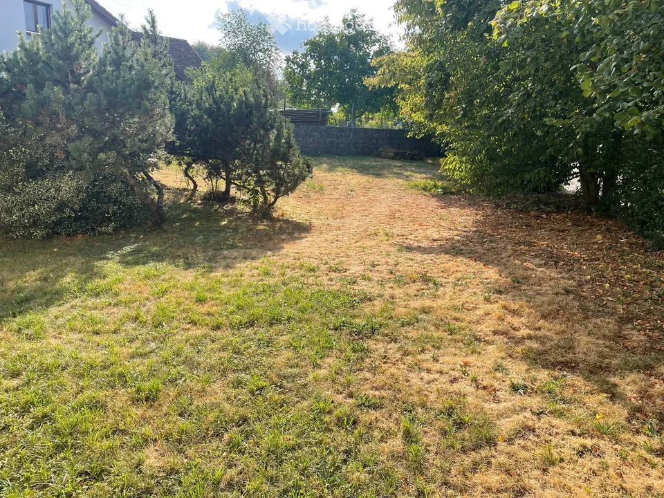 5.5 Zimmer Einfamilienhaus in Böbikon – Foto 25 von 25