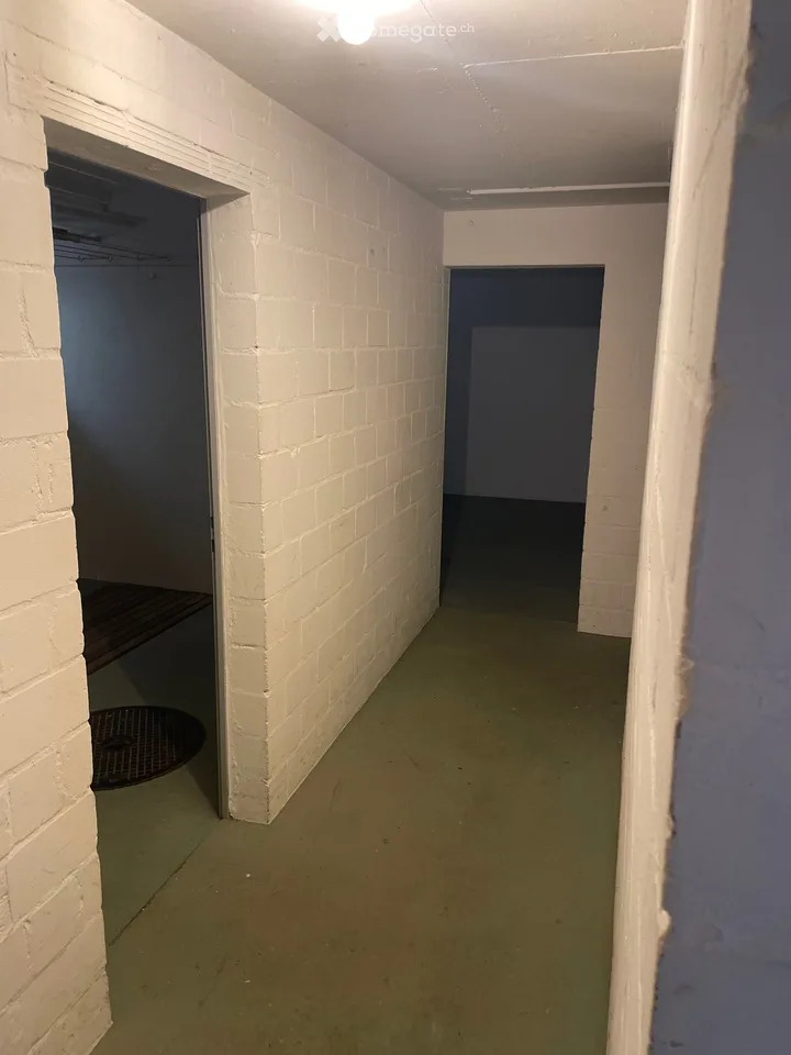 5.5 Zimmer Einfamilienhaus in Böbikon – Foto 17 von 25