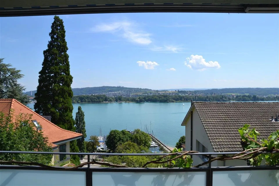 Vista sulle Alpi & sul lago di Biel – foto 12 di 13