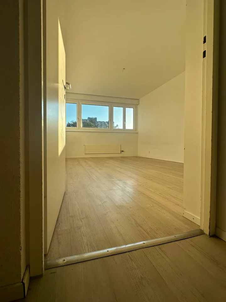 Ampio appartamento 5.5 locali - ristrutturato – foto 11 di 22
