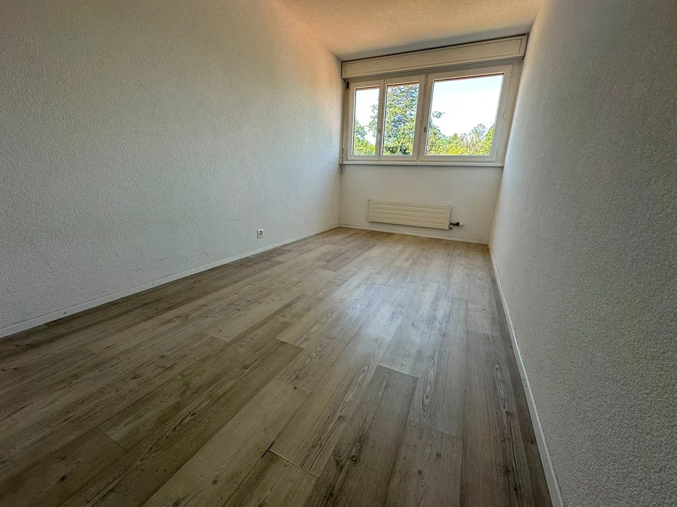 Ampio appartamento 5.5 locali - ristrutturato – foto 15 di 22