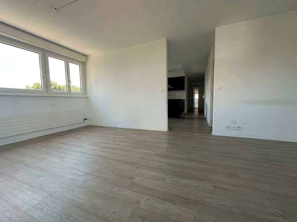 Ampio appartamento 5.5 locali - ristrutturato – foto 2 di 22
