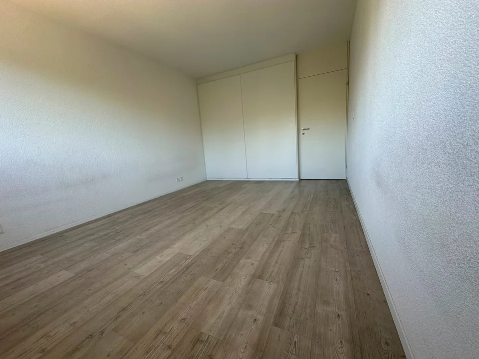 Ampio appartamento 5.5 locali - ristrutturato – foto 14 di 22
