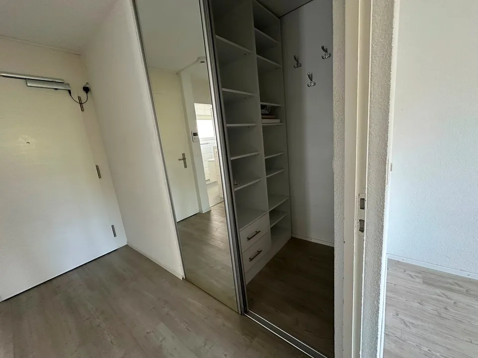 Ampio appartamento 5.5 locali - ristrutturato – foto 16 di 22