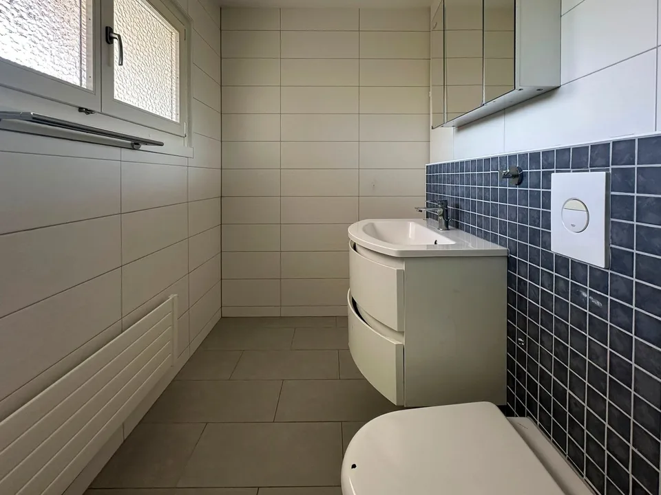 Ampio appartamento 5.5 locali - ristrutturato – foto 17 di 22
