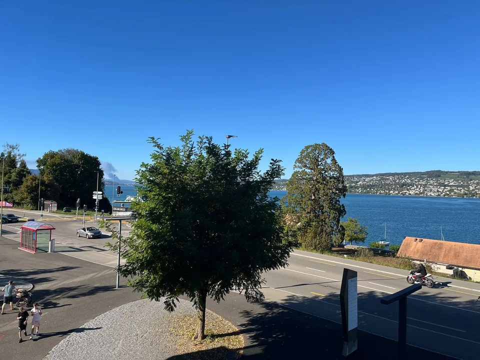 Bright 4.5-room apartment with lake view on Seestrasse in Horgen – photo 4 of 30