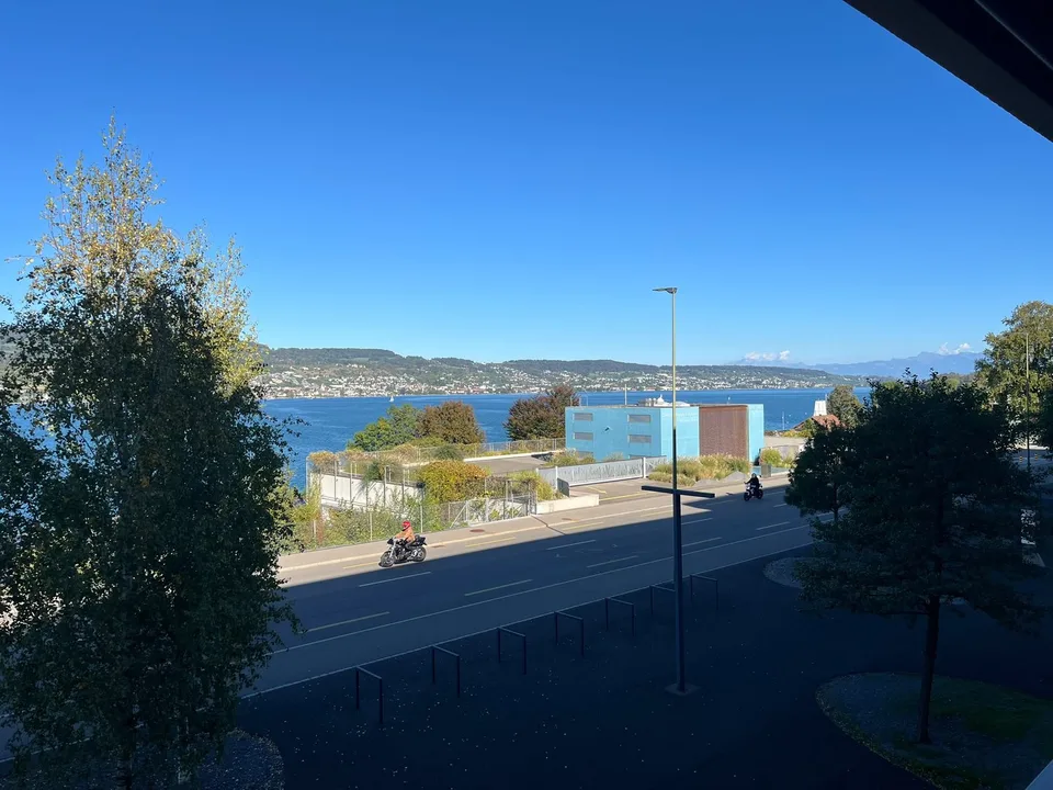 Bright 4.5-room apartment with lake view on Seestrasse in Horgen – photo 5 of 30