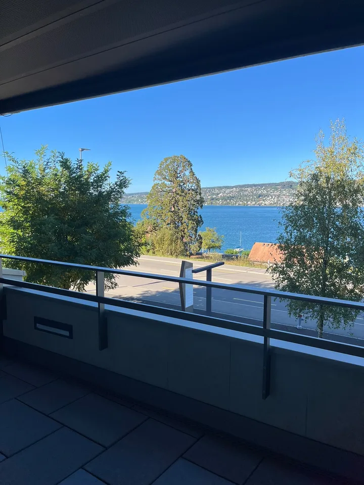 Bright 4.5-room apartment with lake view on Seestrasse in Horgen – photo 3 of 30