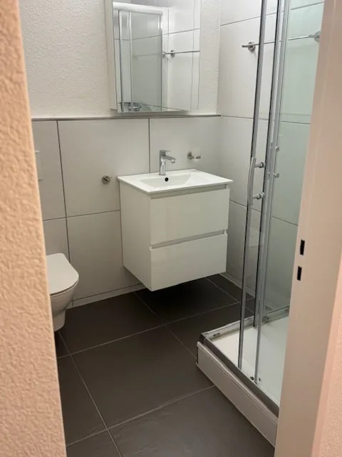 Appartement moderne 1.5 pièces avec balcon à Wolhusen – photo 2 sur 12