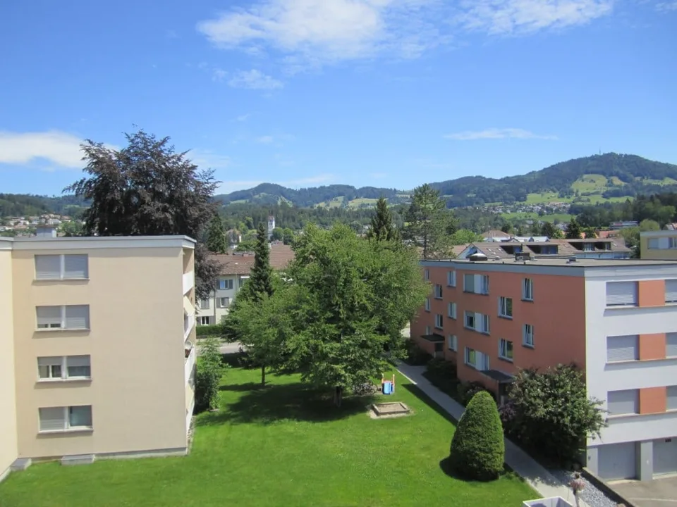 Totalsanierte 2.5-Zimmer-Wohnung mit sonnigem Balkon in Hinwil – Foto 7 von 8