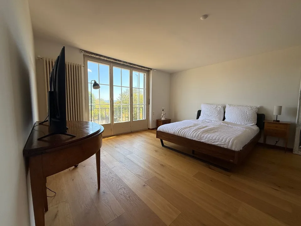 Einzigartige 14-Zimmer-Villa zur möblierten Miete in Metzerlen-Mariastein – Foto 19 von 30