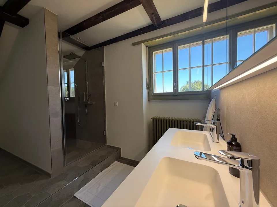 Einzigartige 14-Zimmer-Villa zur möblierten Miete in Metzerlen-Mariastein – Foto 23 von 30