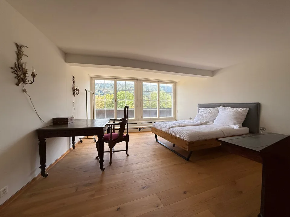 Einzigartige 14-Zimmer-Villa zur möblierten Miete in Metzerlen-Mariastein – Foto 17 von 30