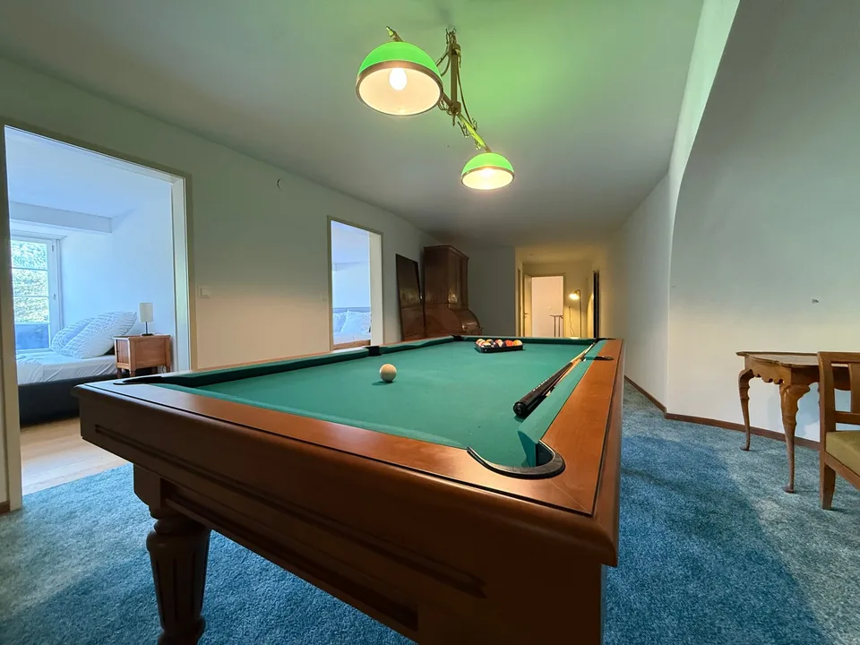 Einzigartige 14-Zimmer-Villa zur möblierten Miete in Metzerlen-Mariastein – Foto 29 von 30