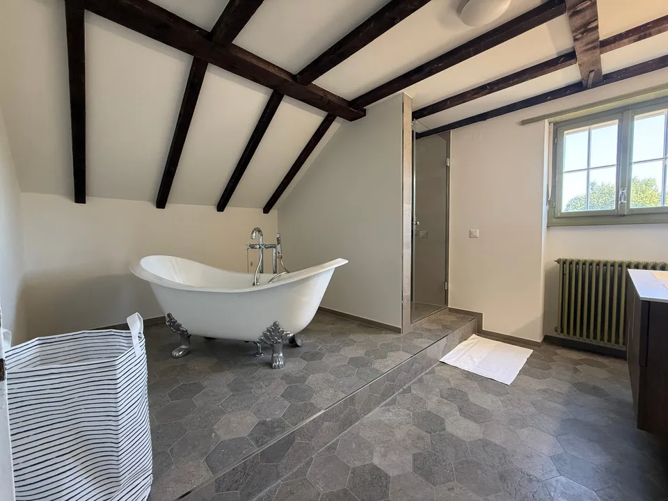 Einzigartige 14-Zimmer-Villa zur möblierten Miete in Metzerlen-Mariastein – Foto 22 von 30